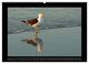 Thumbnail-11