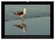 Thumbnail-13