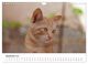 Thumbnail-11