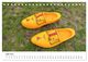 Thumbnail-11