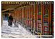 Thumbnail-12