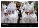 Thumbnail-11