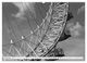 Thumbnail-13