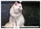 Thumbnail-11