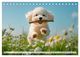 Thumbnail-10