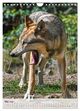 Thumbnail-10