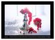 Thumbnail-11