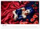 Thumbnail-12