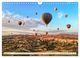 Thumbnail-13