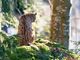 Thumbnail-2