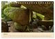 Thumbnail-12