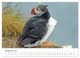 Thumbnail-12