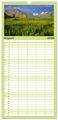 Thumbnail-13