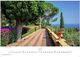 Thumbnail-10