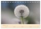 Thumbnail-12
