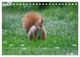 Thumbnail-11