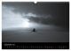 Thumbnail-14