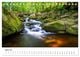 Thumbnail-9