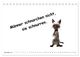 Thumbnail-13