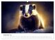 Thumbnail-14