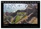 Thumbnail-12