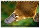 Thumbnail-9