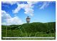 Thumbnail-8