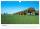 Thumbnail-10