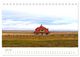 Thumbnail-11