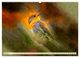 Thumbnail-12