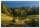 Thumbnail-11