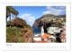 Thumbnail-8