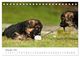 Thumbnail-14