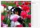 Thumbnail-8