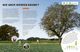 Thumbnail-9