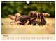 Thumbnail-10