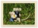 Thumbnail-11