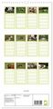 Thumbnail-14