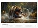 Thumbnail-14