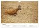 Thumbnail-11