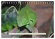 Thumbnail-11