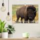 Thumbnail-2