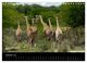 Thumbnail-12