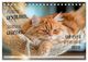 Thumbnail-8