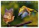 Thumbnail-12