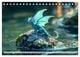 Thumbnail-13