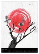 Thumbnail-8