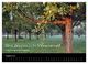 Thumbnail-10