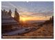 Thumbnail-8