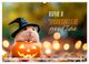Thumbnail-11